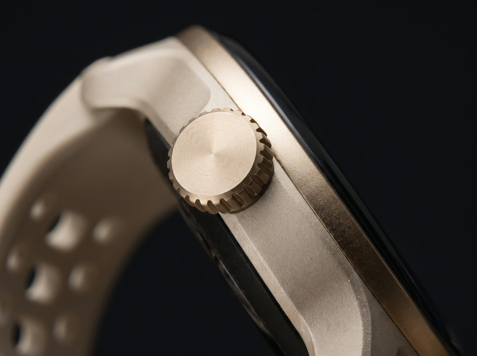 Couronne de VELA en macro
